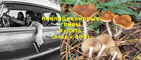 каннабис Алзамай