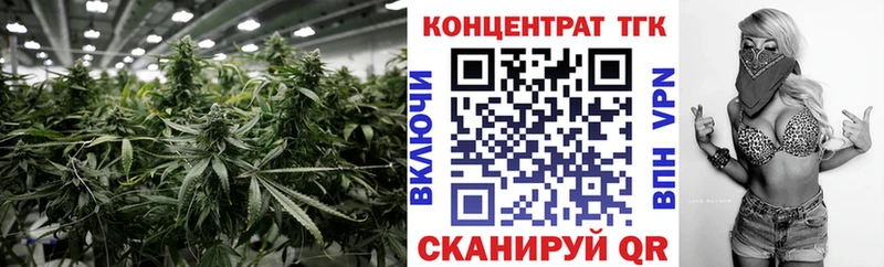 наркотики  omg как войти  ТГК Wax  Каменка 