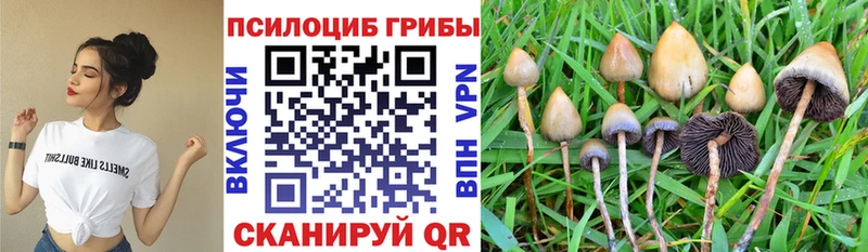 нарко площадка официальный сайт где купить наркоту Каменка Галлюциногенные грибы ЛСД