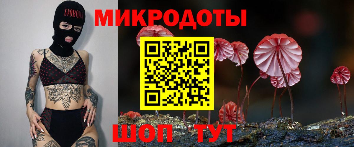 Псилоцибиновые грибы прущие грибы Каменка