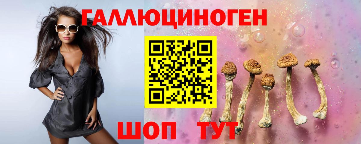 Псилоцибиновые грибы прущие грибы  Вход с VPN  Каменка  Галлюциногенные грибы прущие грибы 